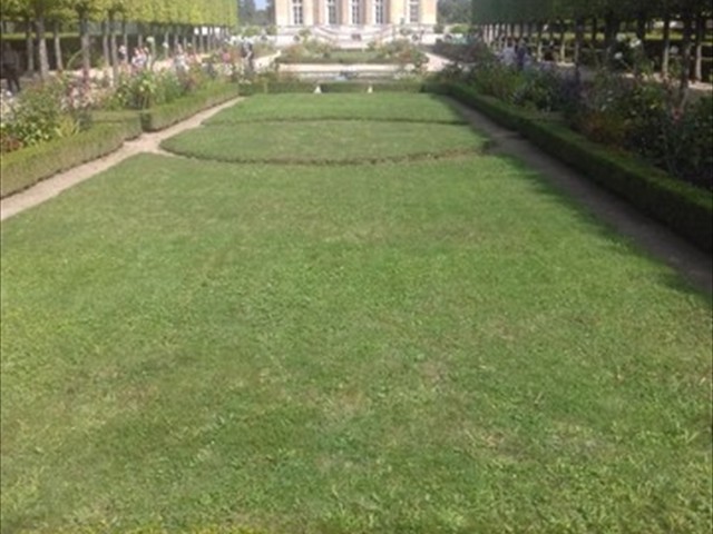 padiglioni e giardini fra grand e petit trianon (73)